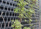 এক্স রাখুন স্টেইনলেস স্টীল কেবেল তারের মেষ প্ল্যান্ট গাছপালা চারণভূমি জন্য ট্রেলেস সরবরাহকারী